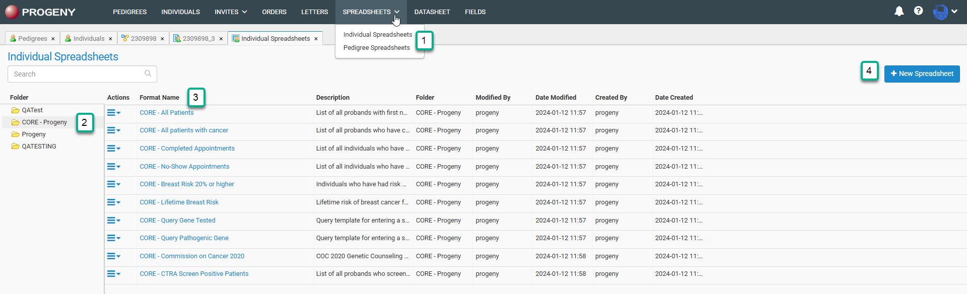 Spreadsheets Module - Progeny